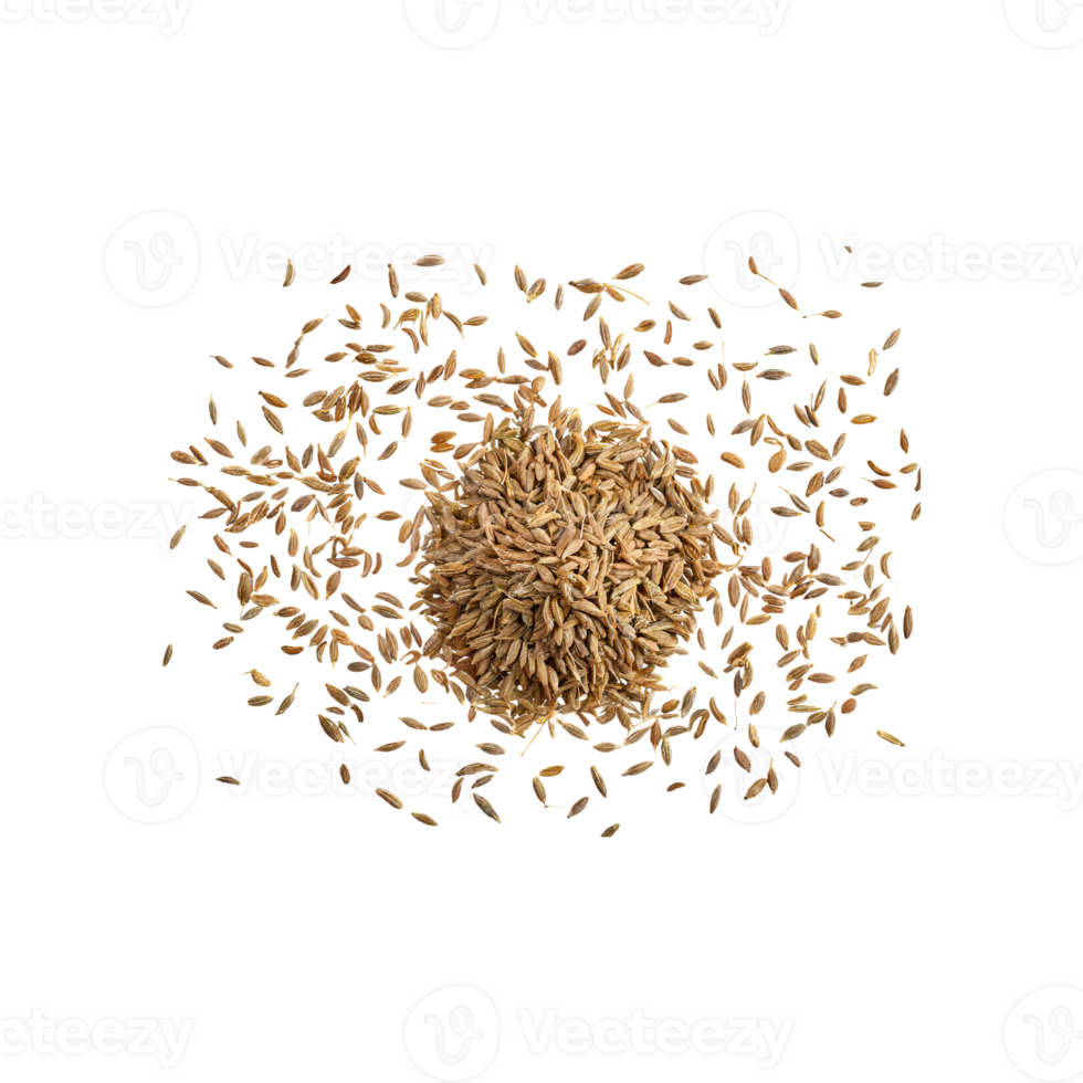 AI generated Handful Of Small Brown Cumin Seeds, Isolated Transparent Background png