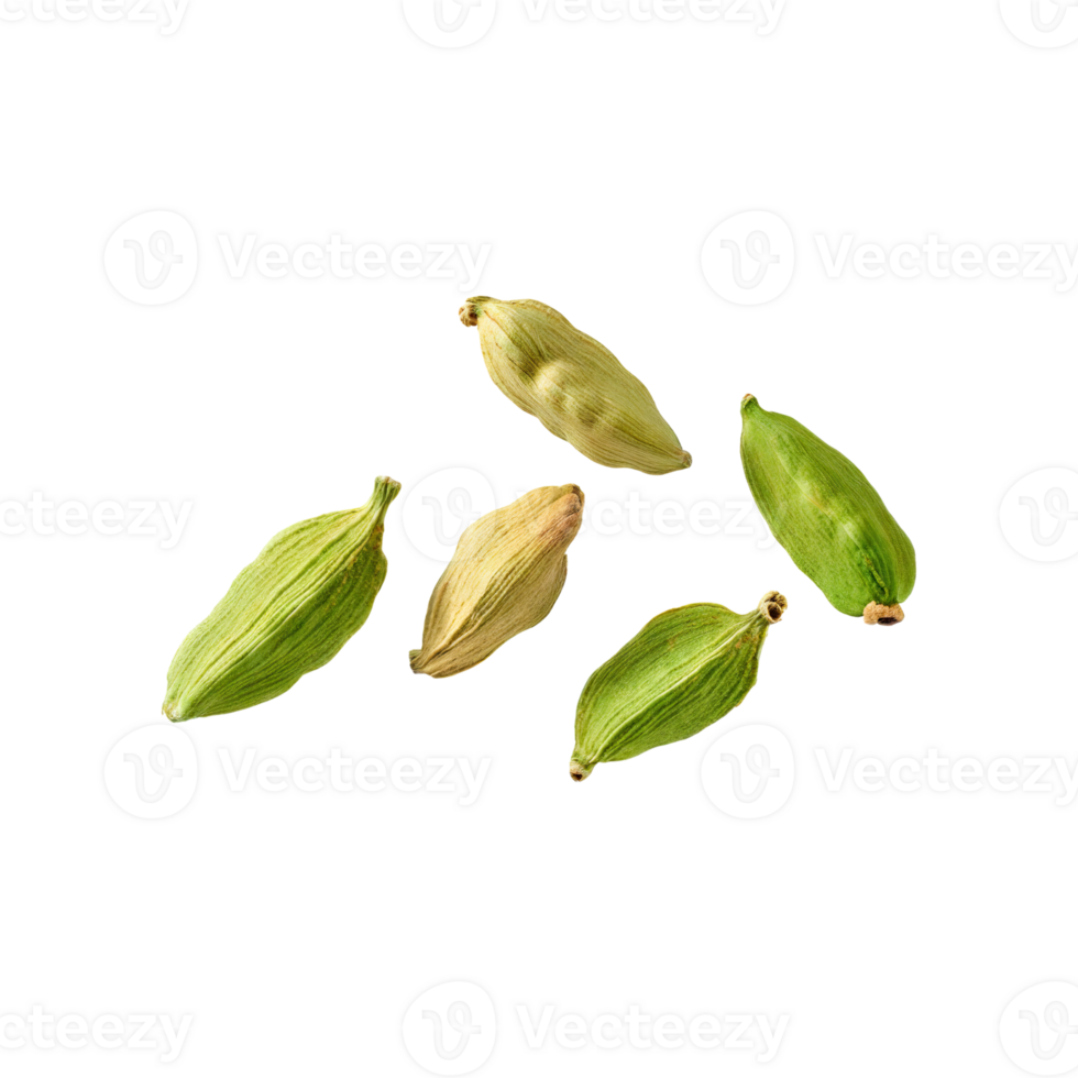 AI generated Floating Of Green Cardamom, Isolated Transparent Background png