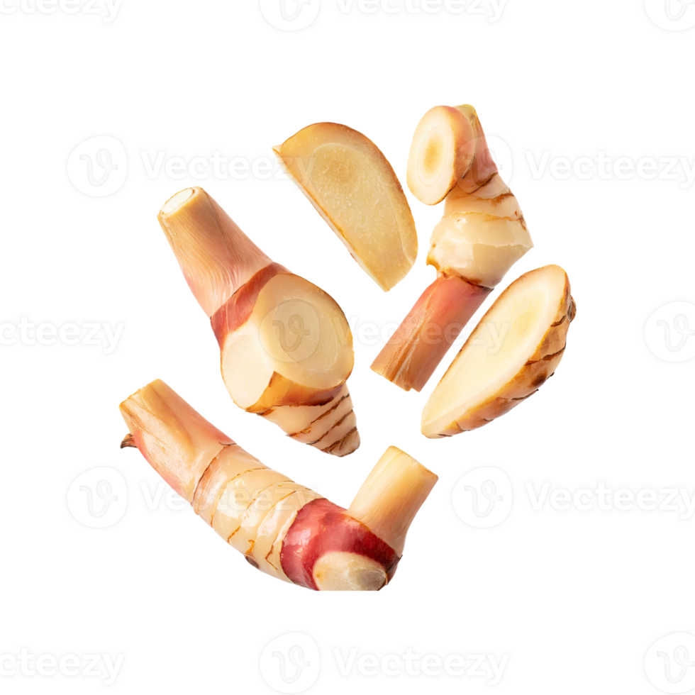 AI generated Floating Of A Slices Galangal, Without Shadow, Isolated Transparent Background png