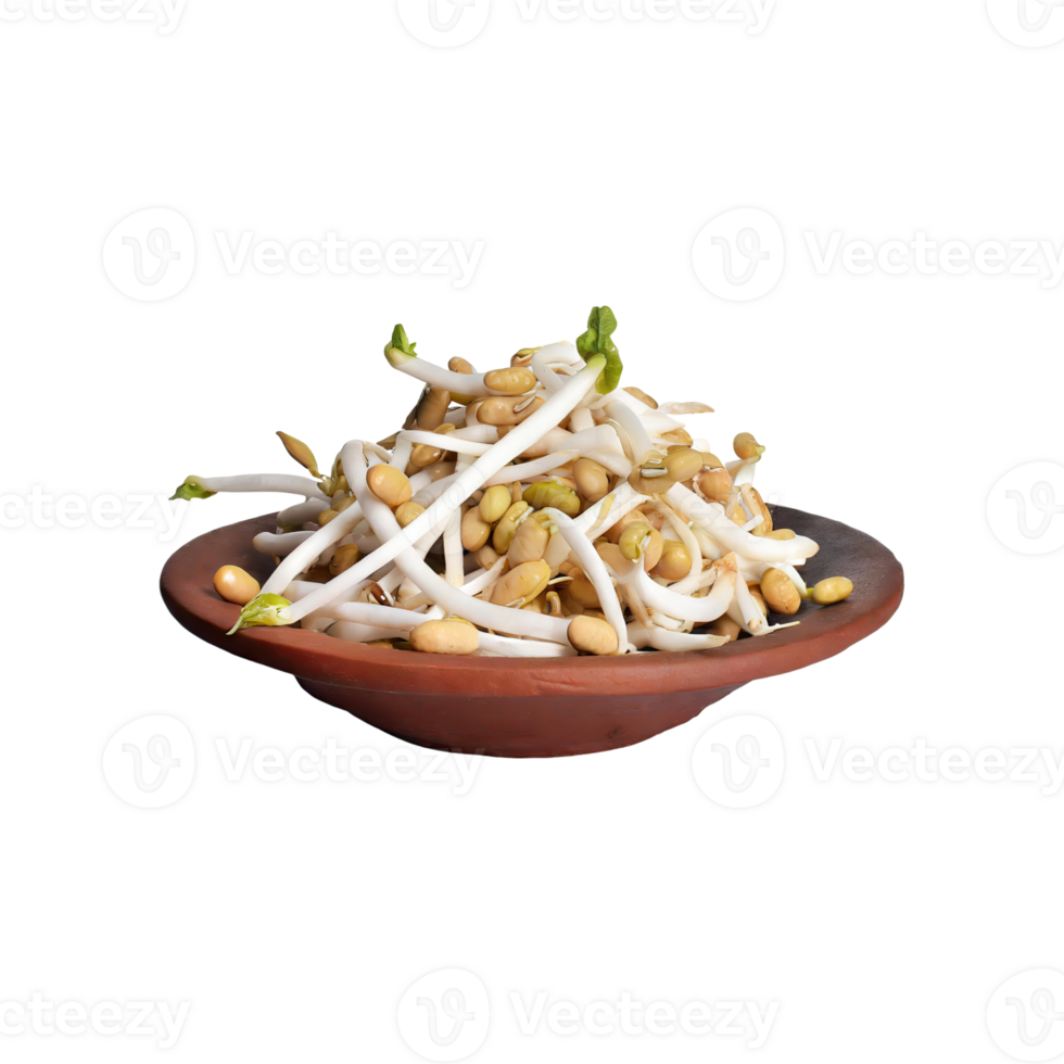 AI generated Indonesian Bean Sprouts, Without Shadow, Isolated Transparent Background png