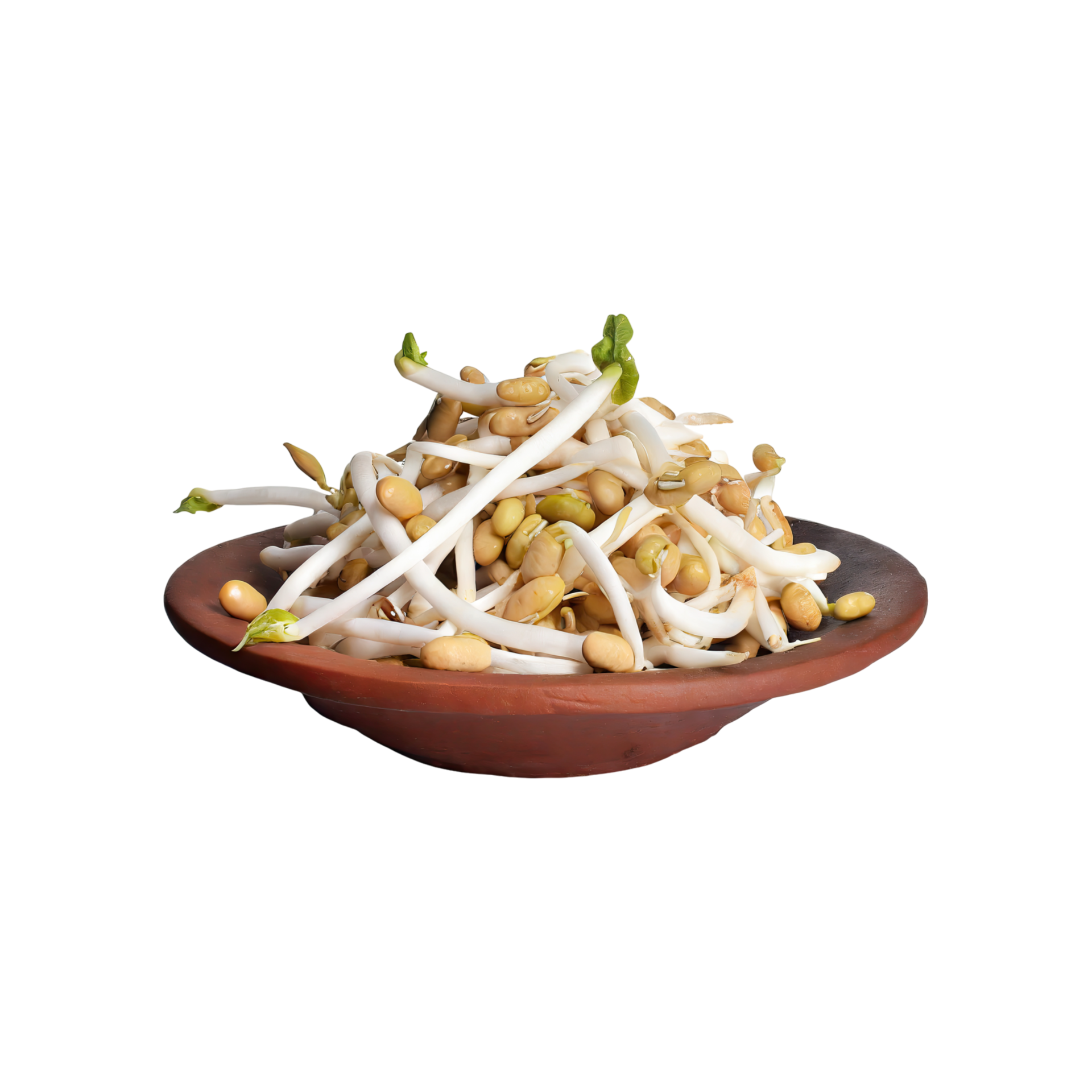 AI generated Indonesian Bean Sprouts, Without Shadow, Isolated