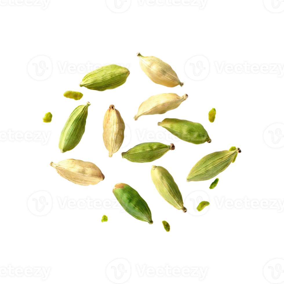 AI generated Floating Of Green Cardamom, Isolated Transparent Background png