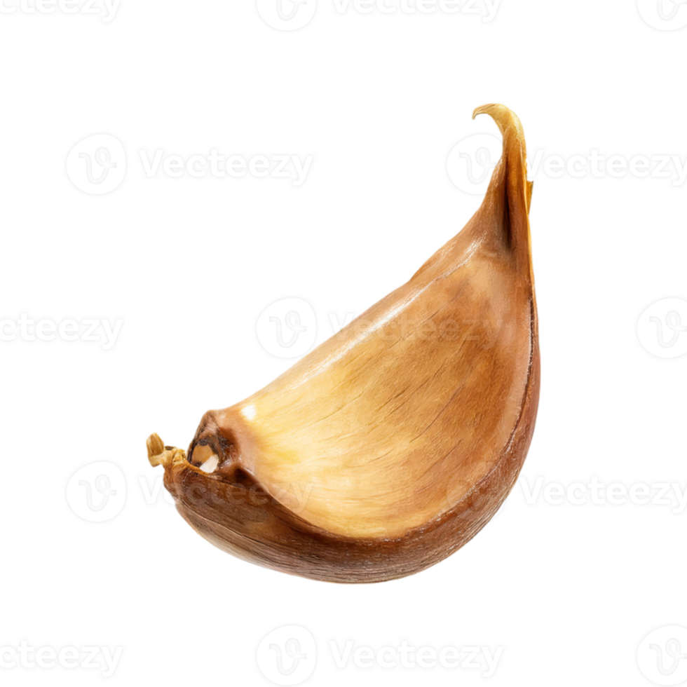 AI generated Slices Of Brown Clove Of Garlic, Without Shadow,  Isolated Transparent Background png