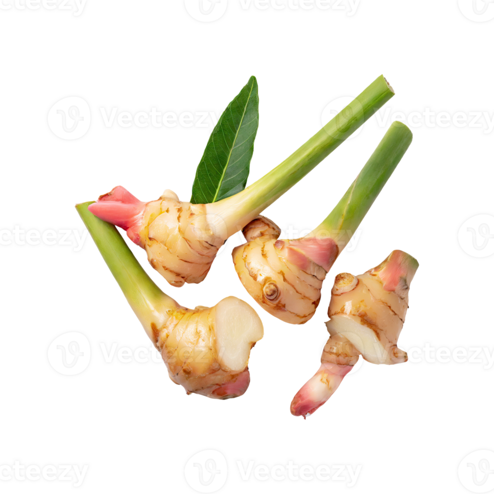 AI generated Floating Of A Slices Galangal, Without Shadow, Isolated Transparent Background png
