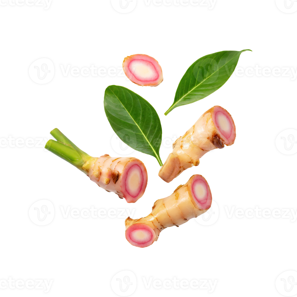 AI generated Floating Of A Slices Galangal, Without Shadow, Isolated Transparent Background png