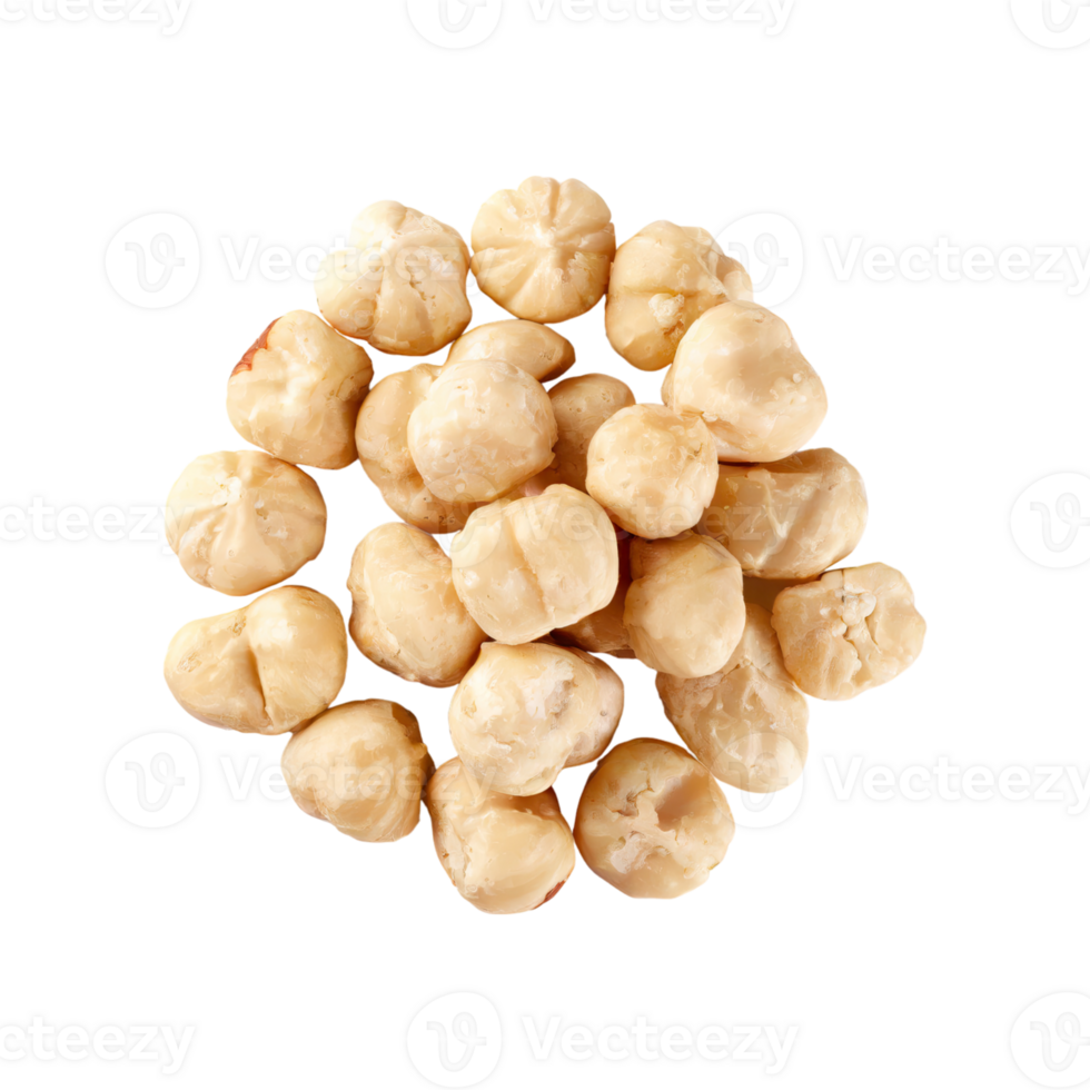 AI generated A Natural Candlenut, Without Shadow, Isolated Transparent Background png
