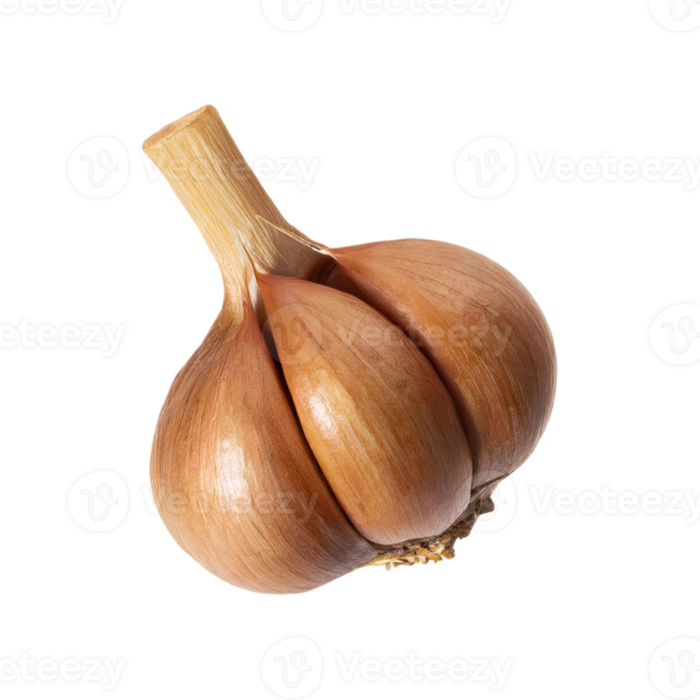 AI generated Slices Of Brown Clove Of Garlic, Without Shadow,  Isolated Transparent Background png
