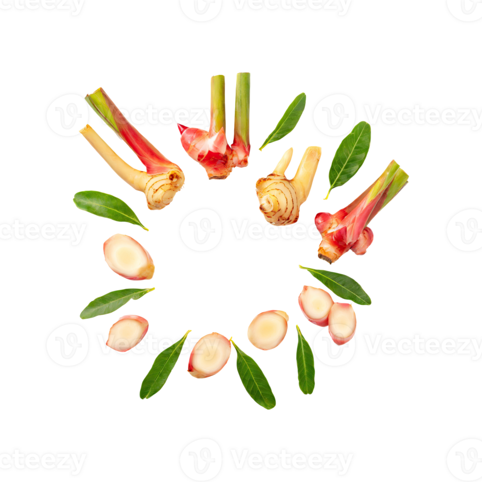 AI generated Floating Of A Slices Galangal, Without Shadow, Isolated Transparent Background png