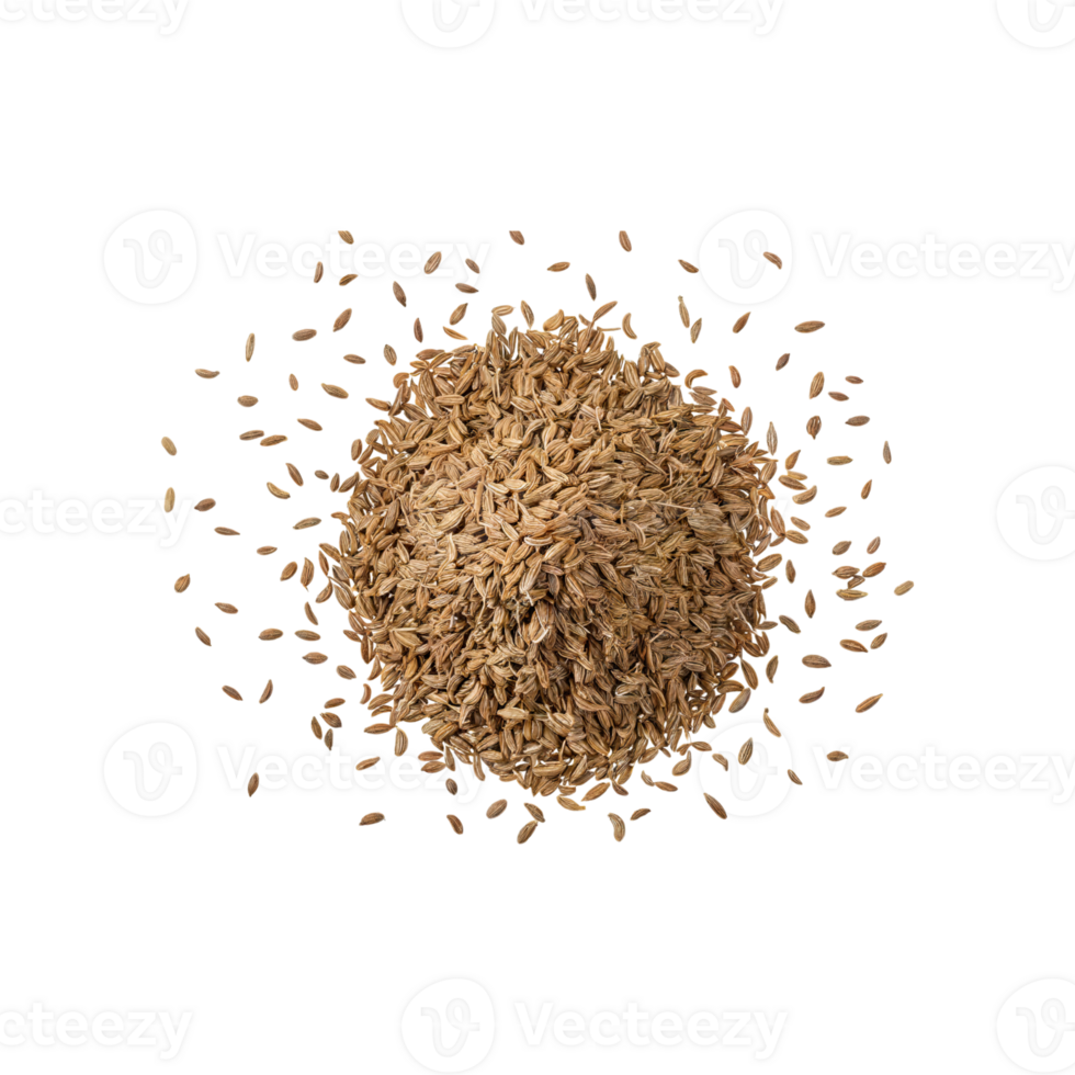 AI generated Handful Of Small Brown Cumin Seeds, Isolated Transparent Background png