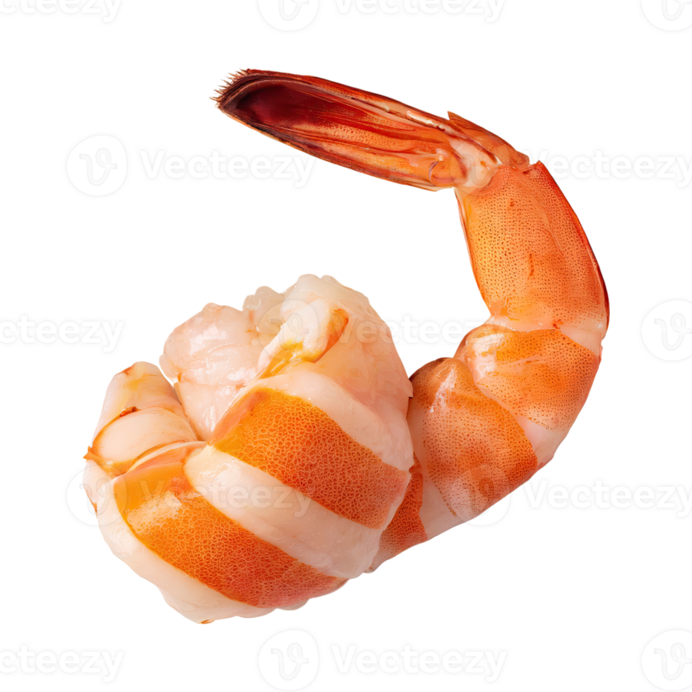AI generated Floating Of Shrimp Ebi, Without Shadow, Isolated Transparent Background png