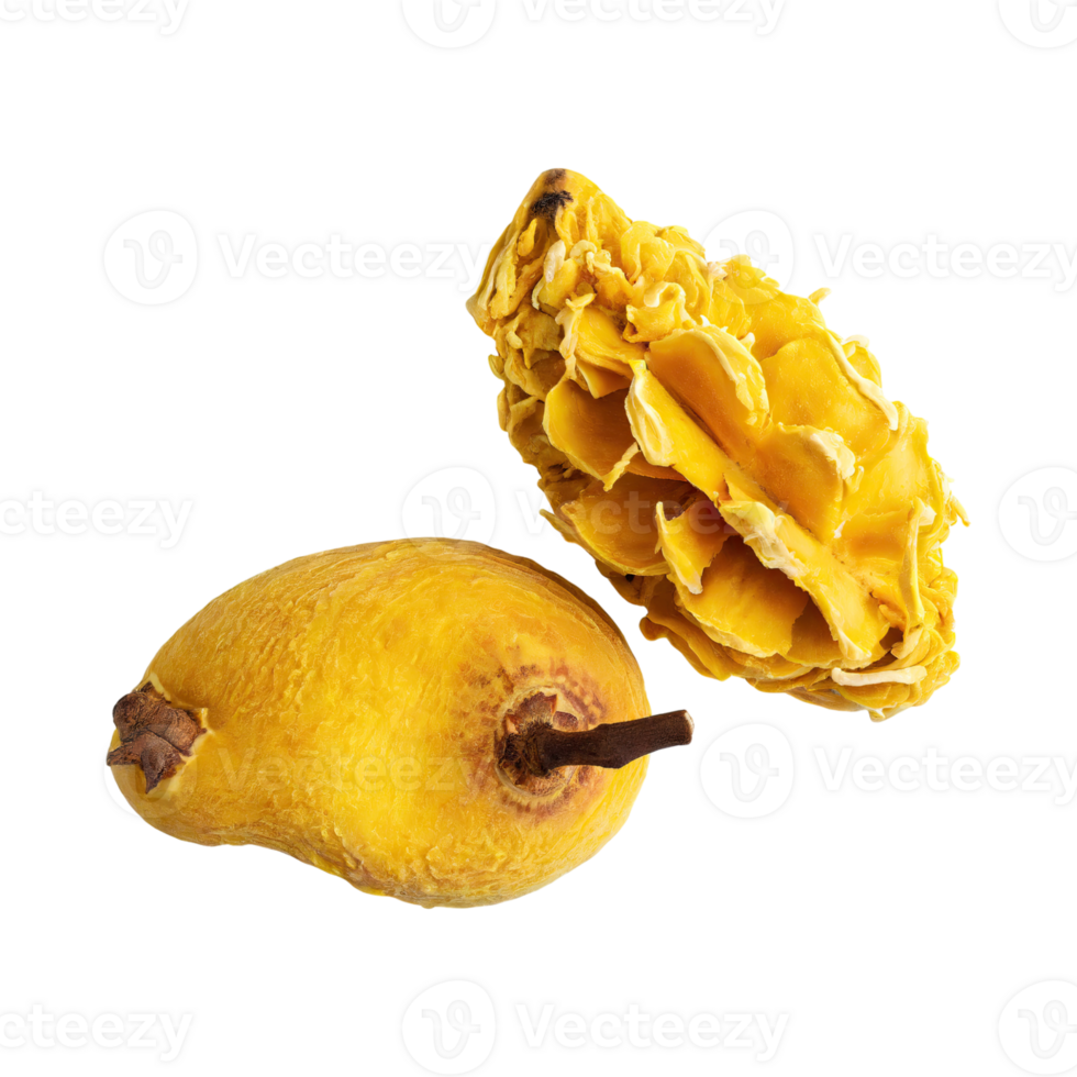 AI generated Floating Of Dried Yellow Mangoesteen, Without Shadow, Isolated Transparent Background png