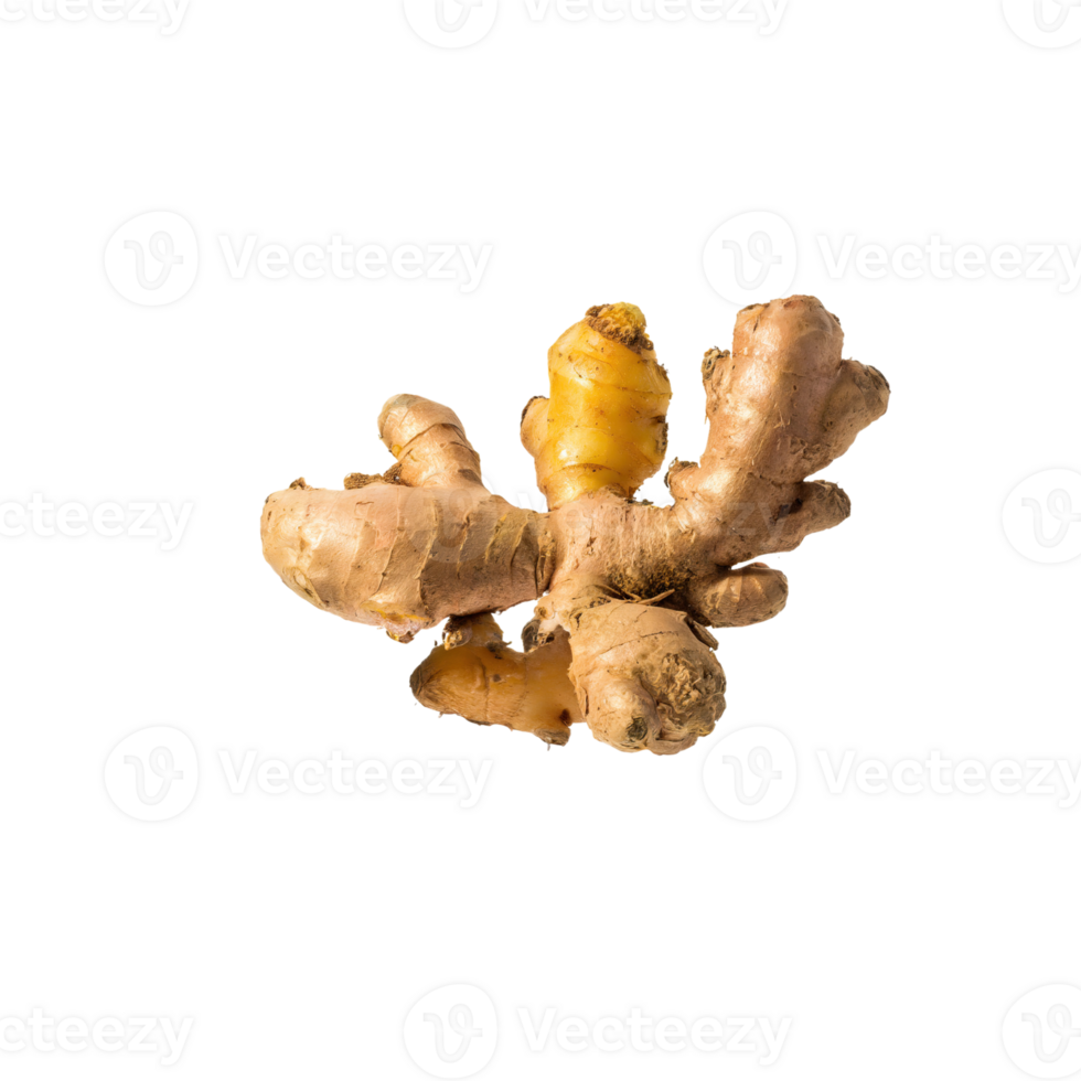AI generated Bunch Red Ginger With Leaf Of Gringer, Isolated Transparent Background png