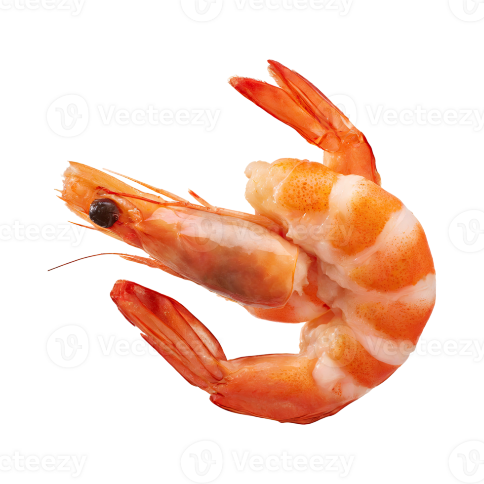 AI generated Floating Of Shrimp Ebi, Without Shadow, Isolated Transparent Background png