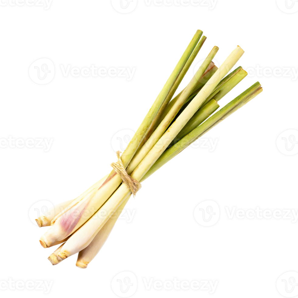 AI generated Lemongrass, Without Shadow, Isolated Transparent Background png