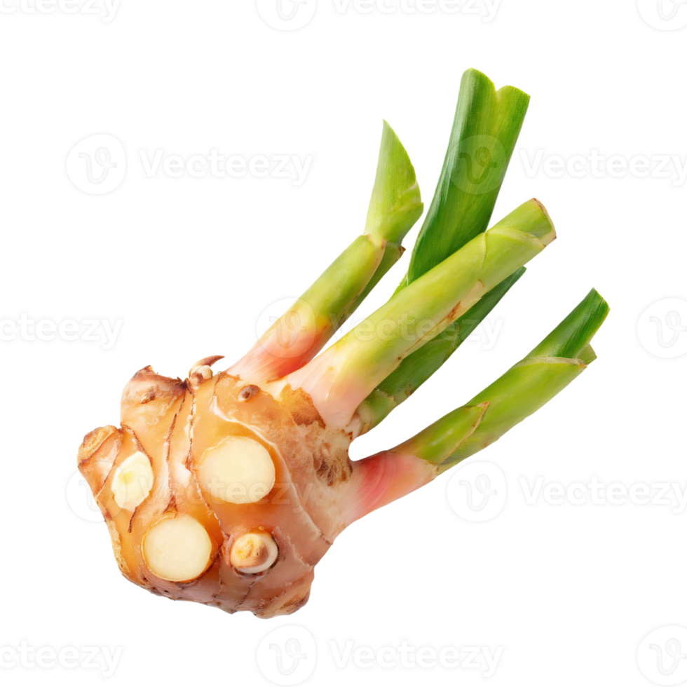 AI generated Floating Of A Slices Galangal, Without Shadow, Isolated Transparent Background png
