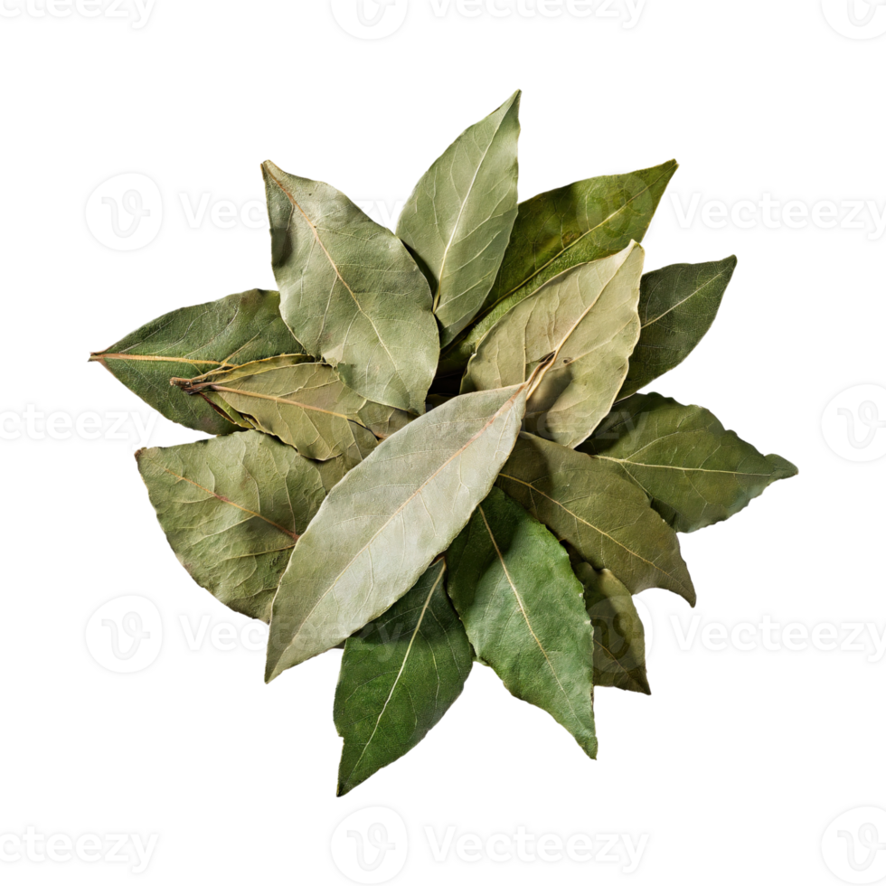 AI generated Floating Of Bunch Dried Bay Leaf , Without Shadow, Isolated Transparent Background png