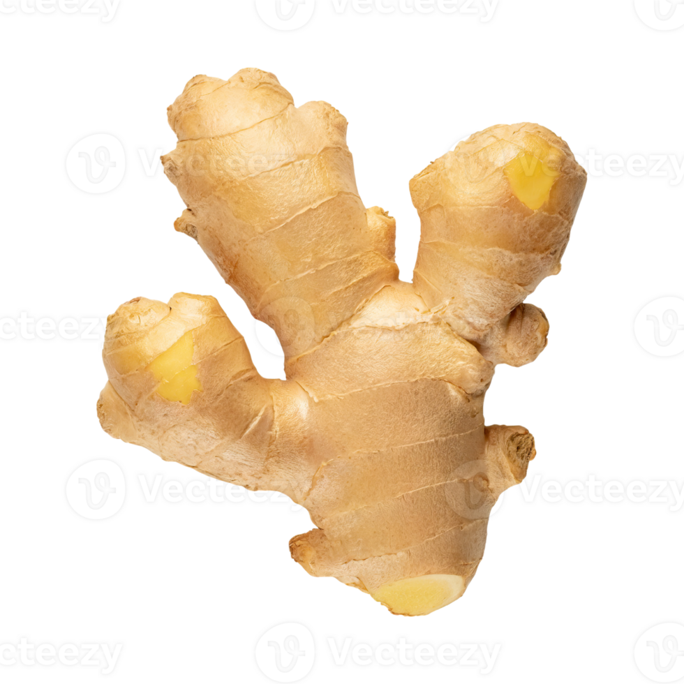 AI generated Floating Of One Aromatic Ginger , Isolated Transparent Background png