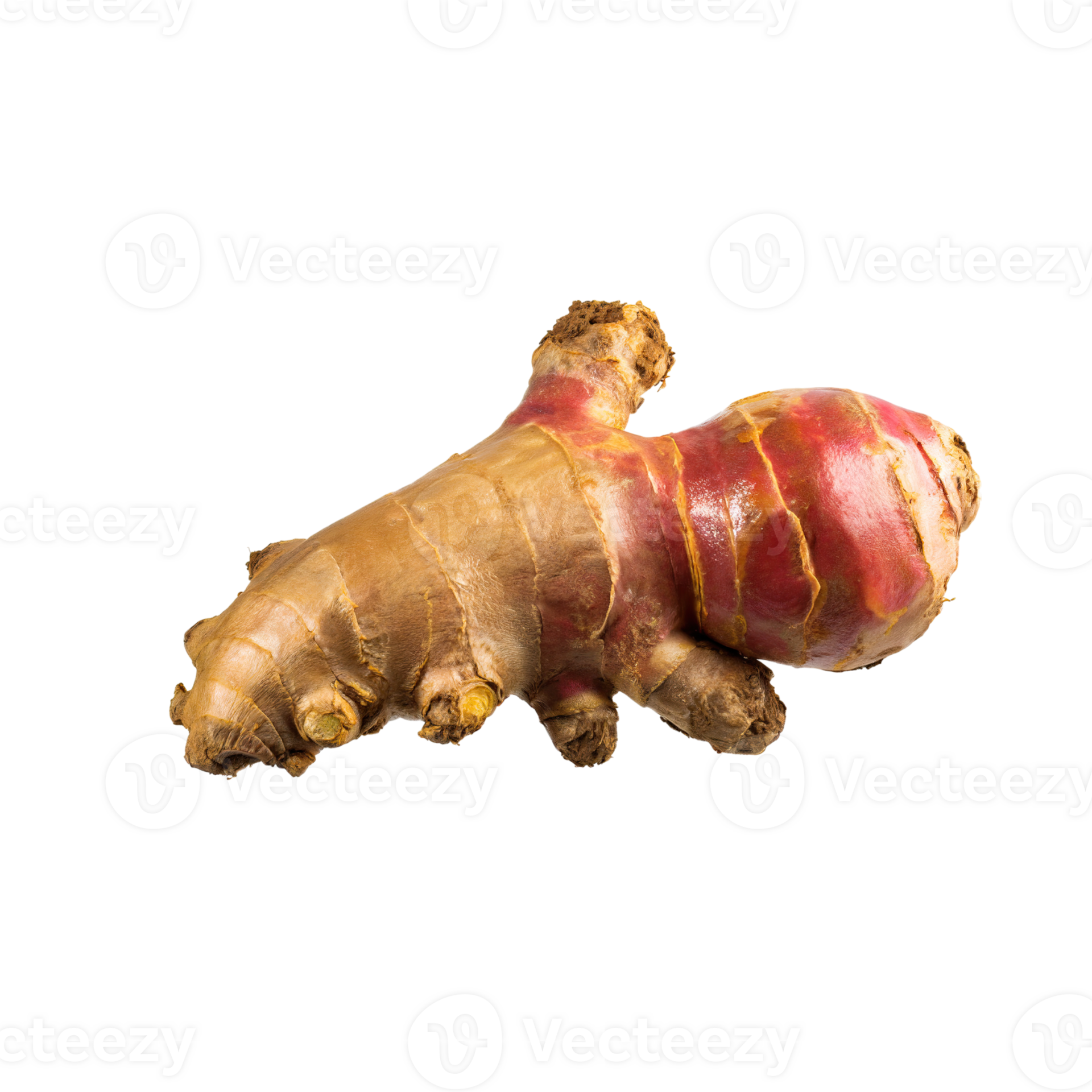 AI generated Bunch Red Ginger With Leaf Of Gringer, Isolated