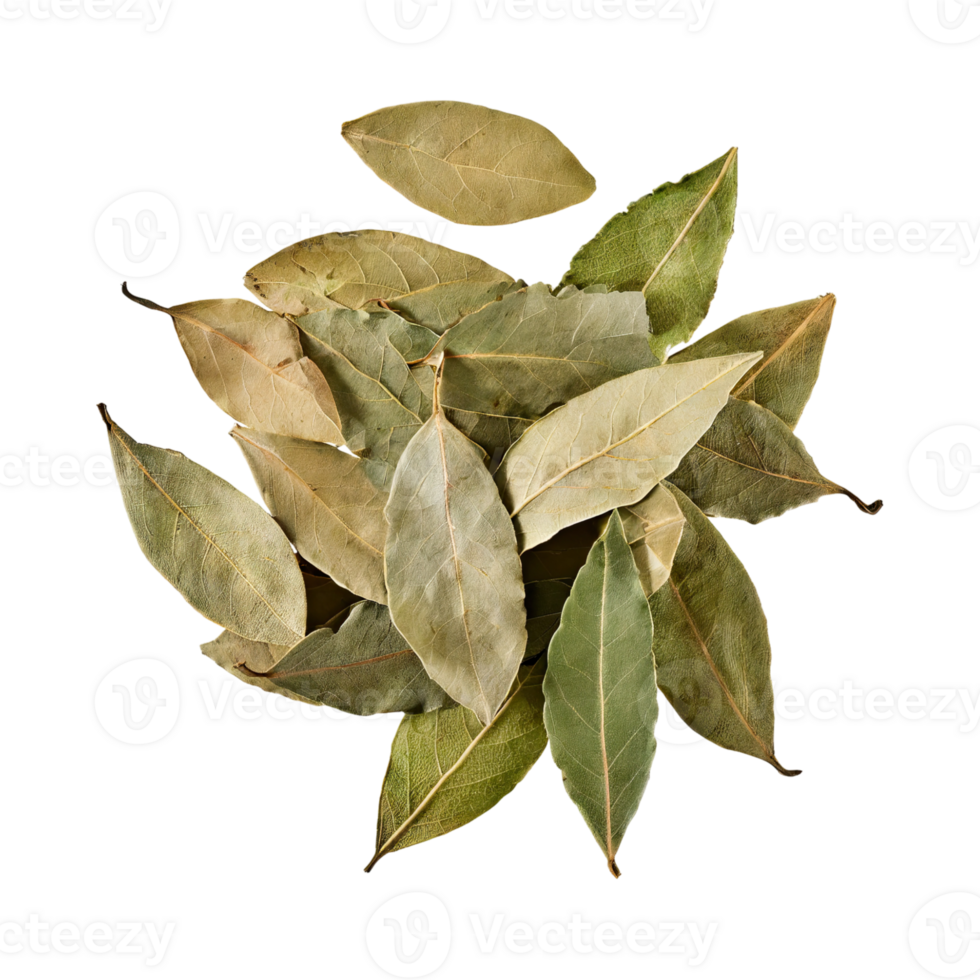 AI generated Floating Of Bunch Dried Bay Leaf , Without Shadow, Isolated Transparent Background png