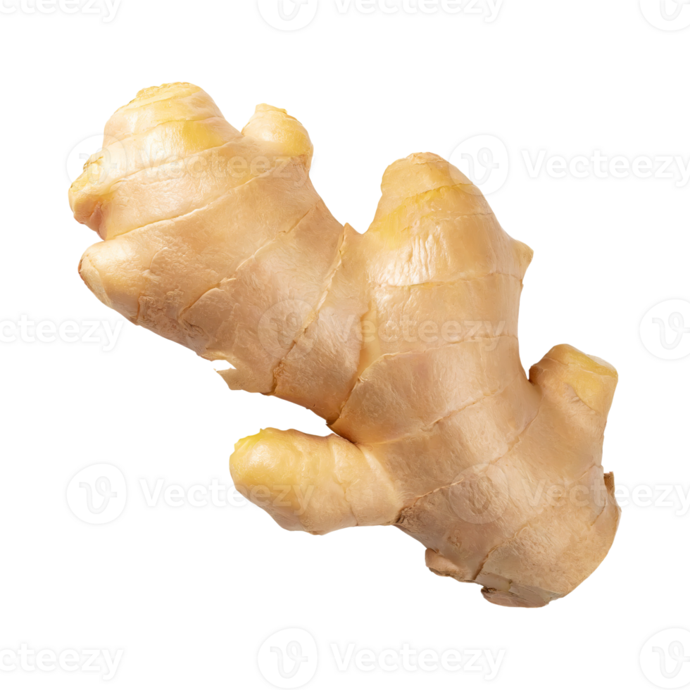 AI generated Floating Of One Aromatic Ginger , Isolated Transparent Background png