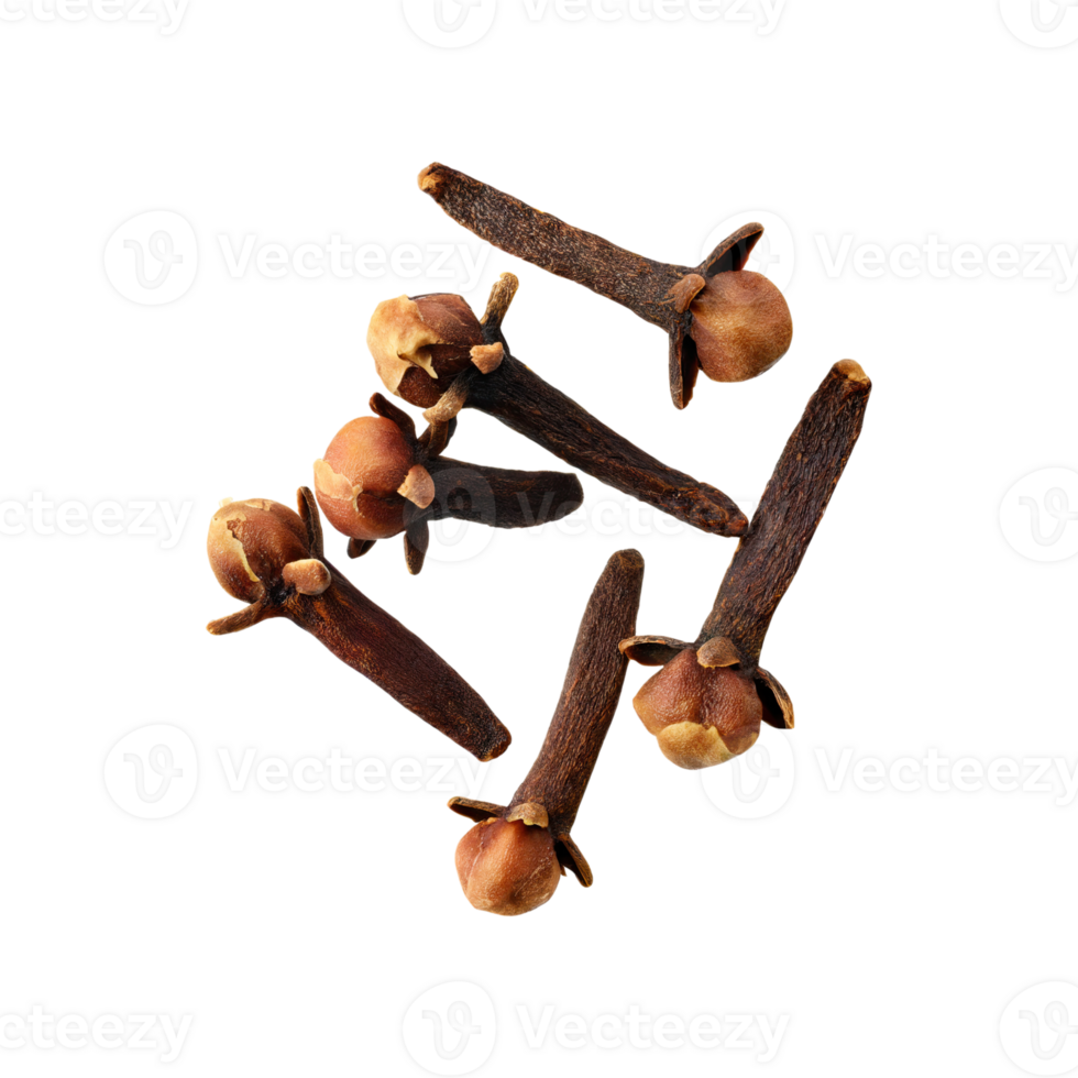 AI generated Floating Of Clove, Without Shadow, Isolated Transparent Background png