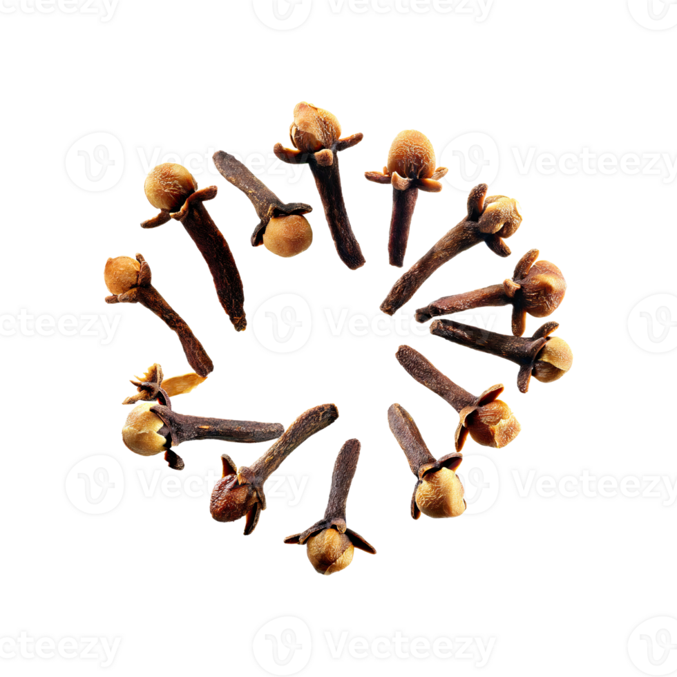 AI generated Floating Of Clove, Without Shadow, Isolated Transparent Background png
