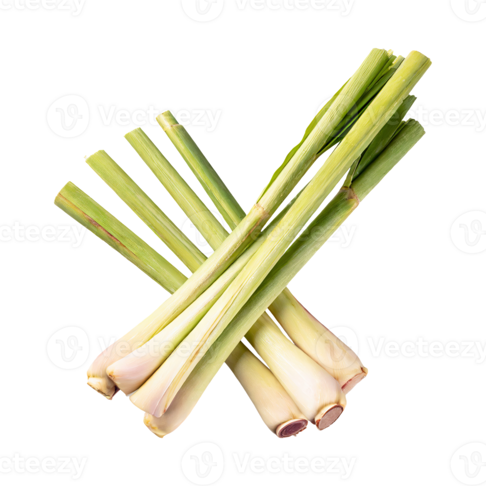 AI generated Lemongrass, Without Shadow, Isolated Transparent Background png