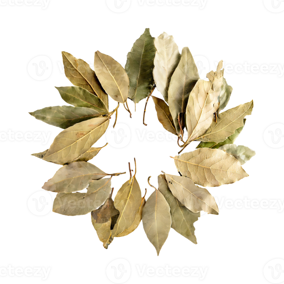 AI generated Floating Of Bunch Dried Bay Leaf , Without Shadow, Isolated Transparent Background png