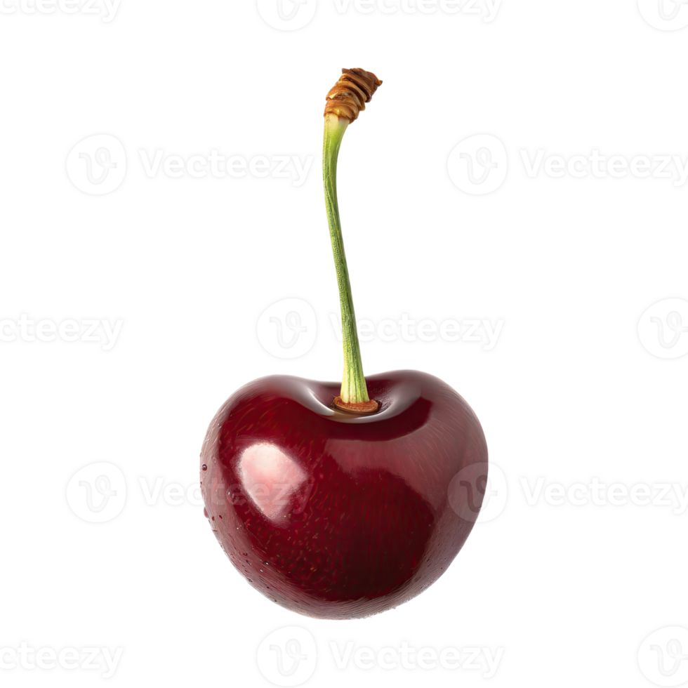 AI generated Floating Of One Cutcherry, Without Shadow, Isolated Transparent Background png