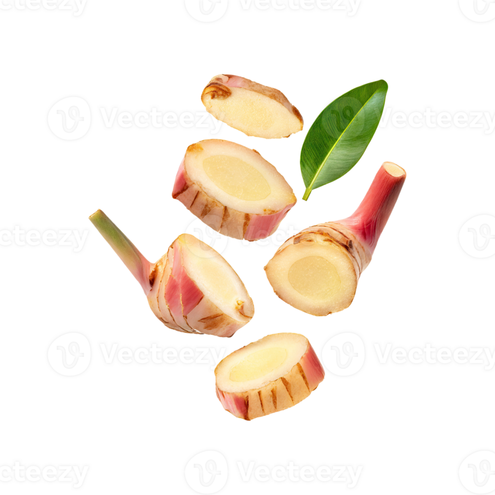 AI generated Floating Of A Slices Galangal, Without Shadow, Isolated Transparent Background png