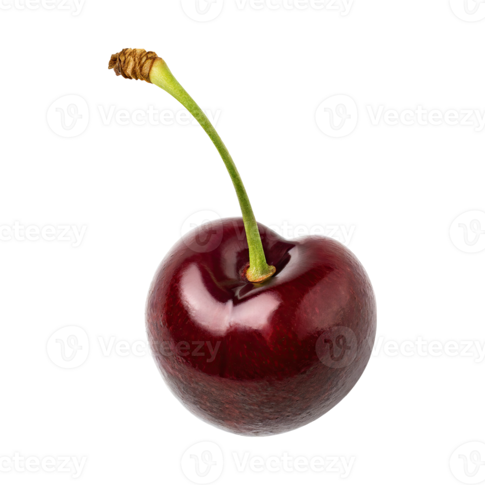 AI generated Floating Of One Cutcherry, Without Shadow, Isolated Transparent Background png
