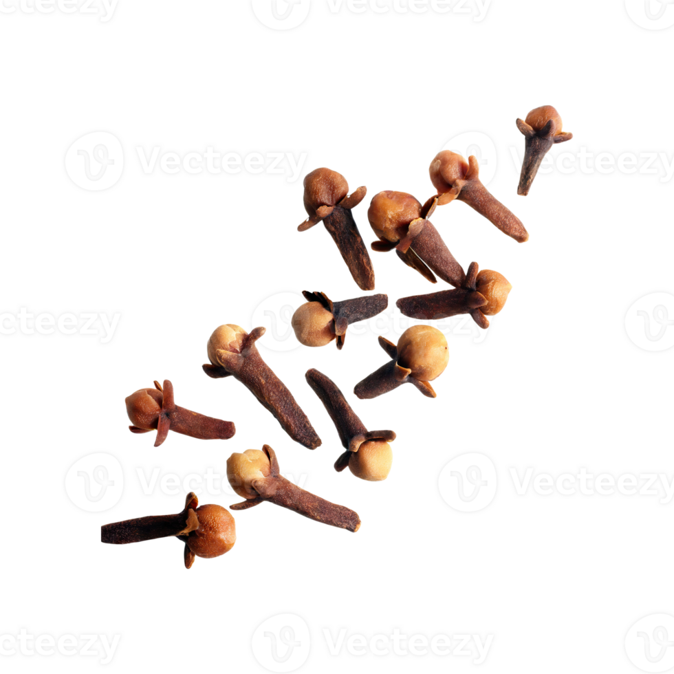 AI generated Floating Of Clove, Without Shadow, Isolated Transparent Background png