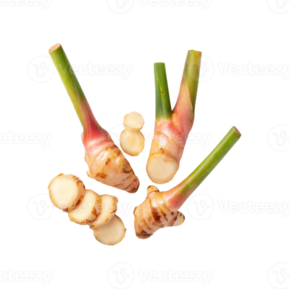 AI generated Floating Of A Slices Galangal, Without Shadow, Isolated Transparent Background png