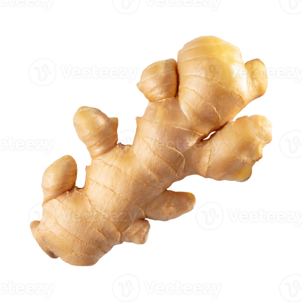 AI generated Floating Of One Aromatic Ginger , Isolated Transparent Background png
