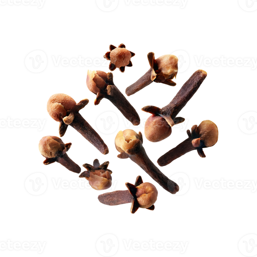 AI generated Floating Of Clove, Without Shadow, Isolated Transparent Background png