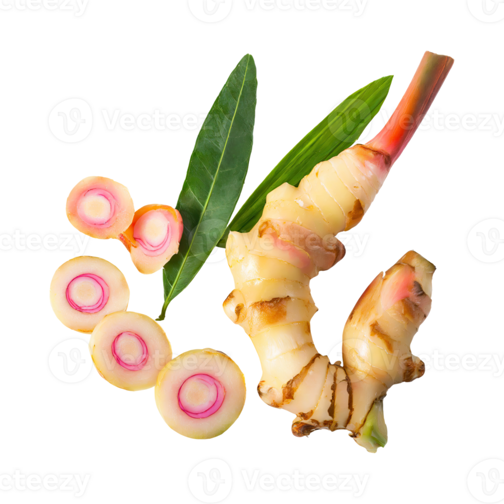 AI generated Floating Of A Slices Galangal, Without Shadow, Isolated Transparent Background png