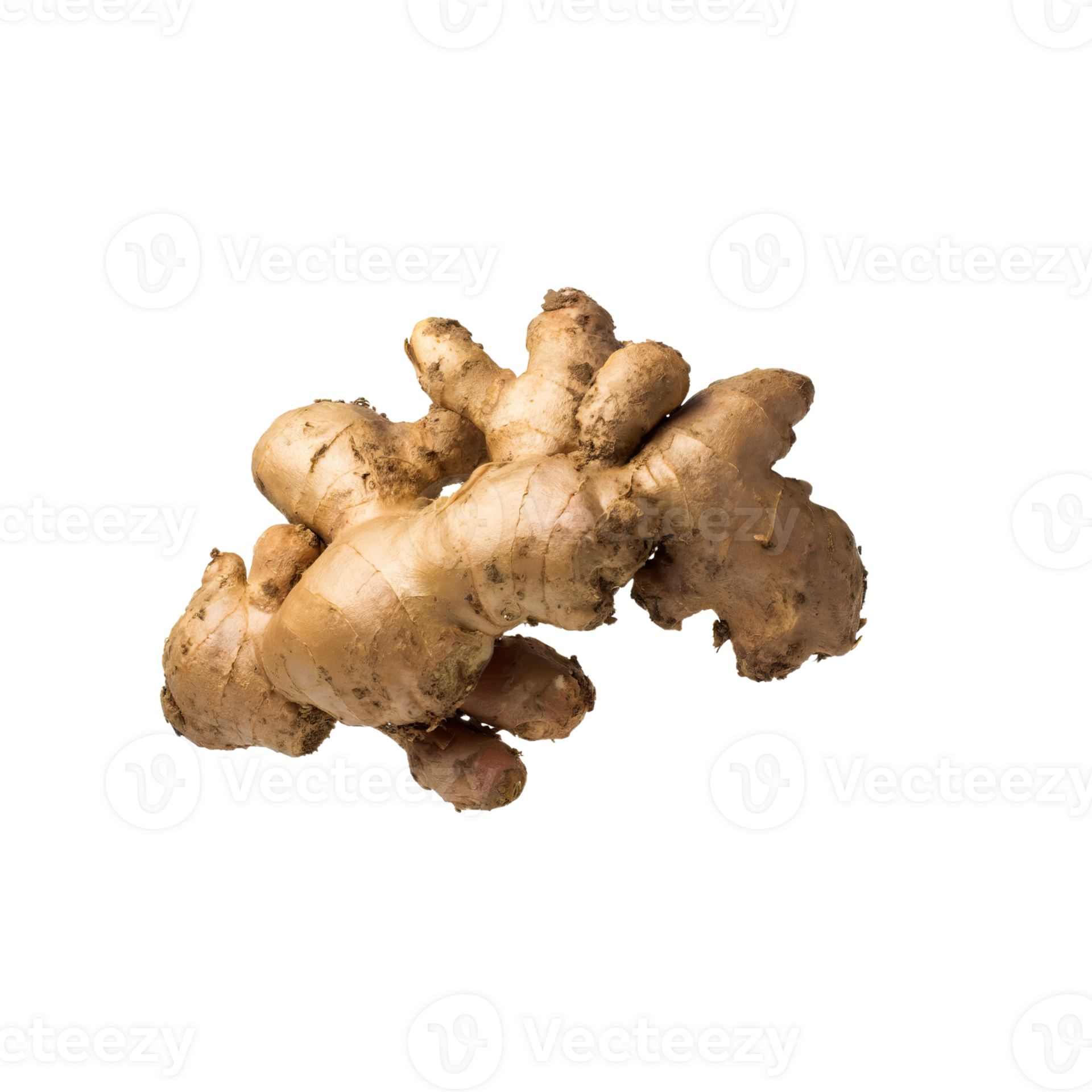 AI generated Bunch Red Ginger With Leaf Of Gringer, Isolated