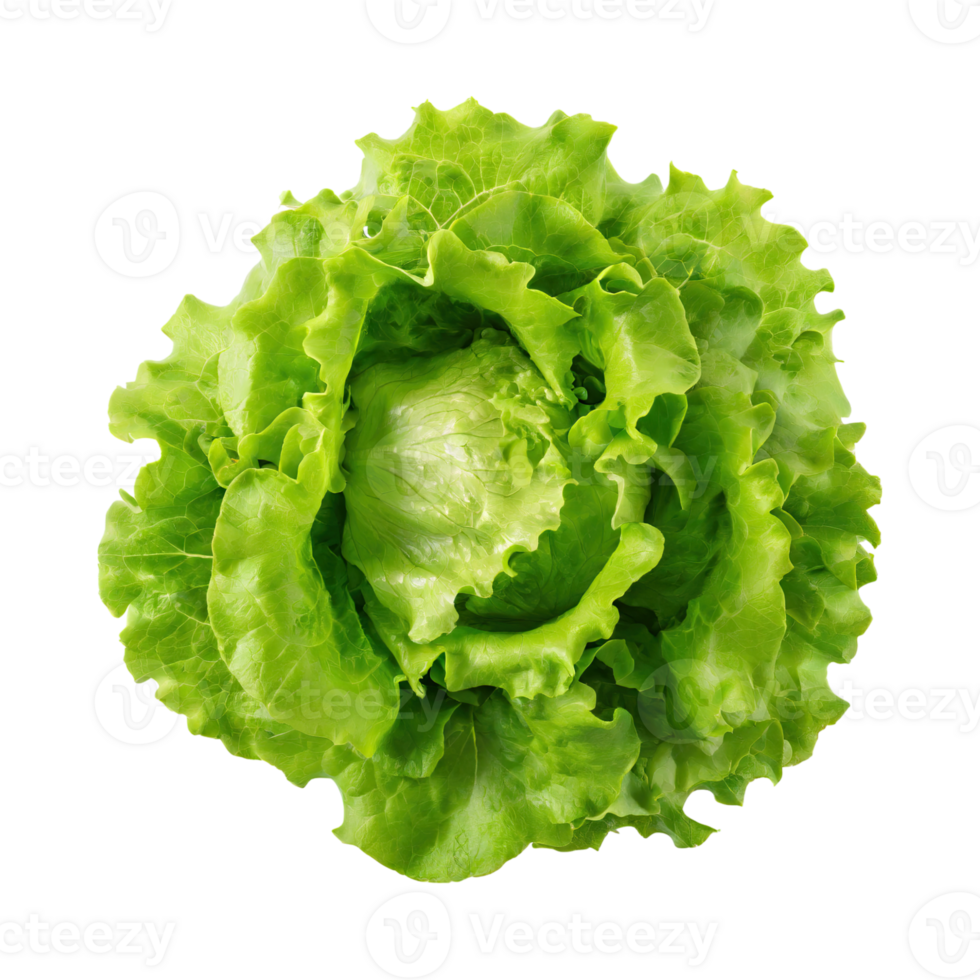 AI generated Floating Of One Fresh Green Lettuce, Without Shadow, Isolated Transparent Background png