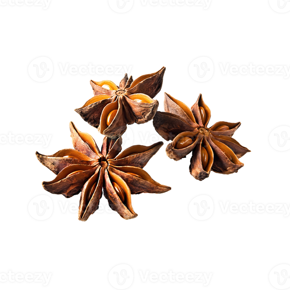 AI generated Star Anise, Without Shadow, Isolated Transparent Background png
