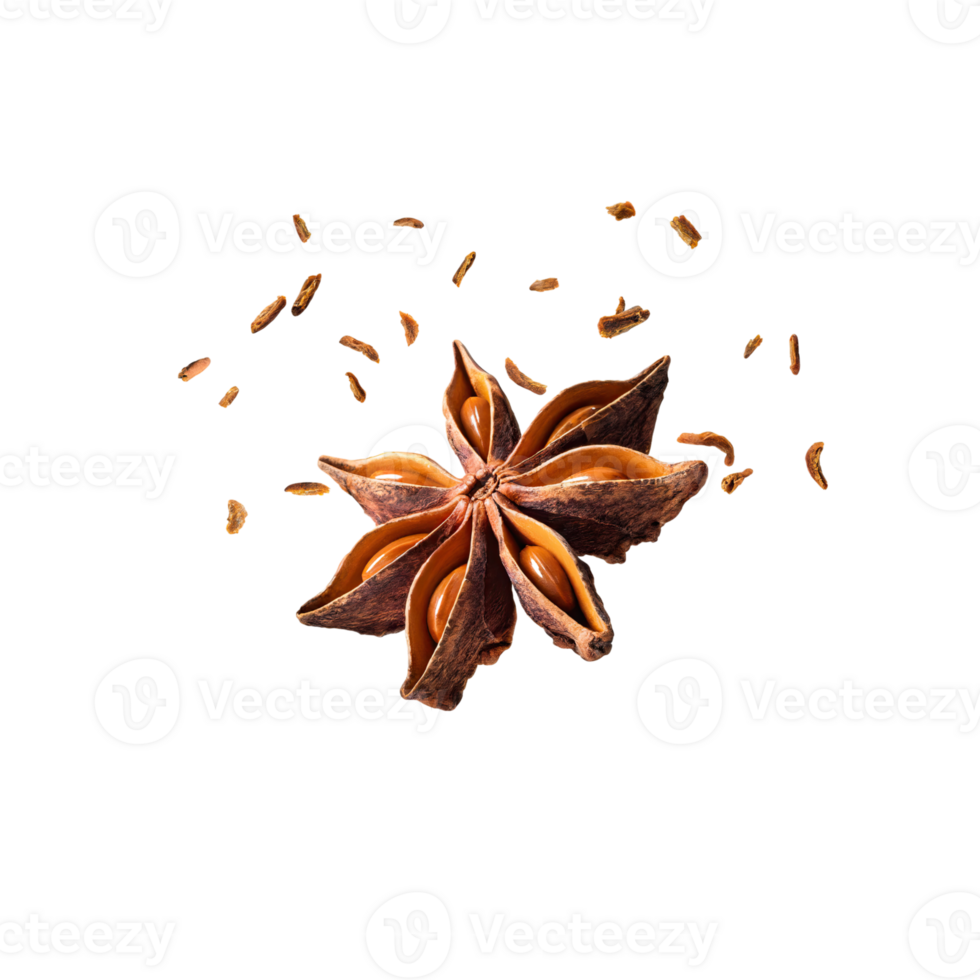 AI generated Star Anise, Without Shadow, Isolated Transparent Background png