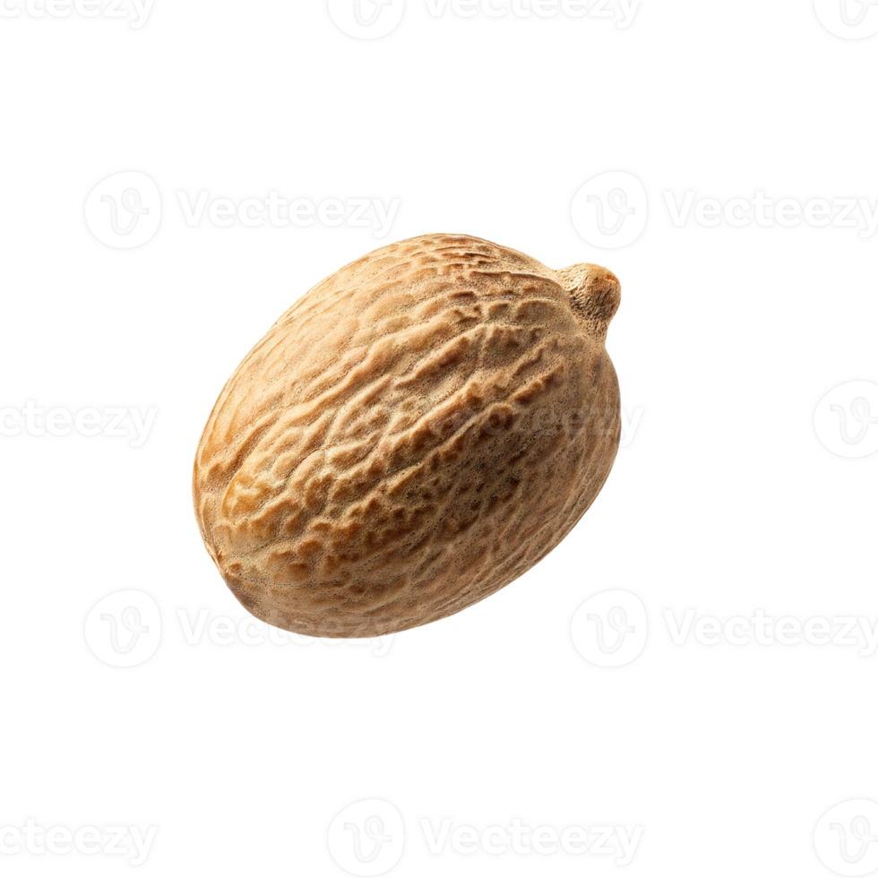 AI generated Floating Of Bunches Nutmeg, Without Shadow, Isolated Transparent Background png