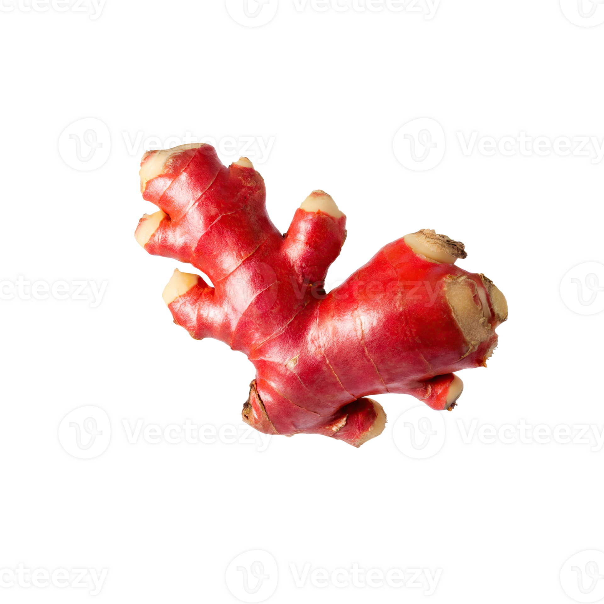 AI generated Bunch Red Ginger With Leaf Of Gringer, Isolated Transparent Background 36265980 PNG