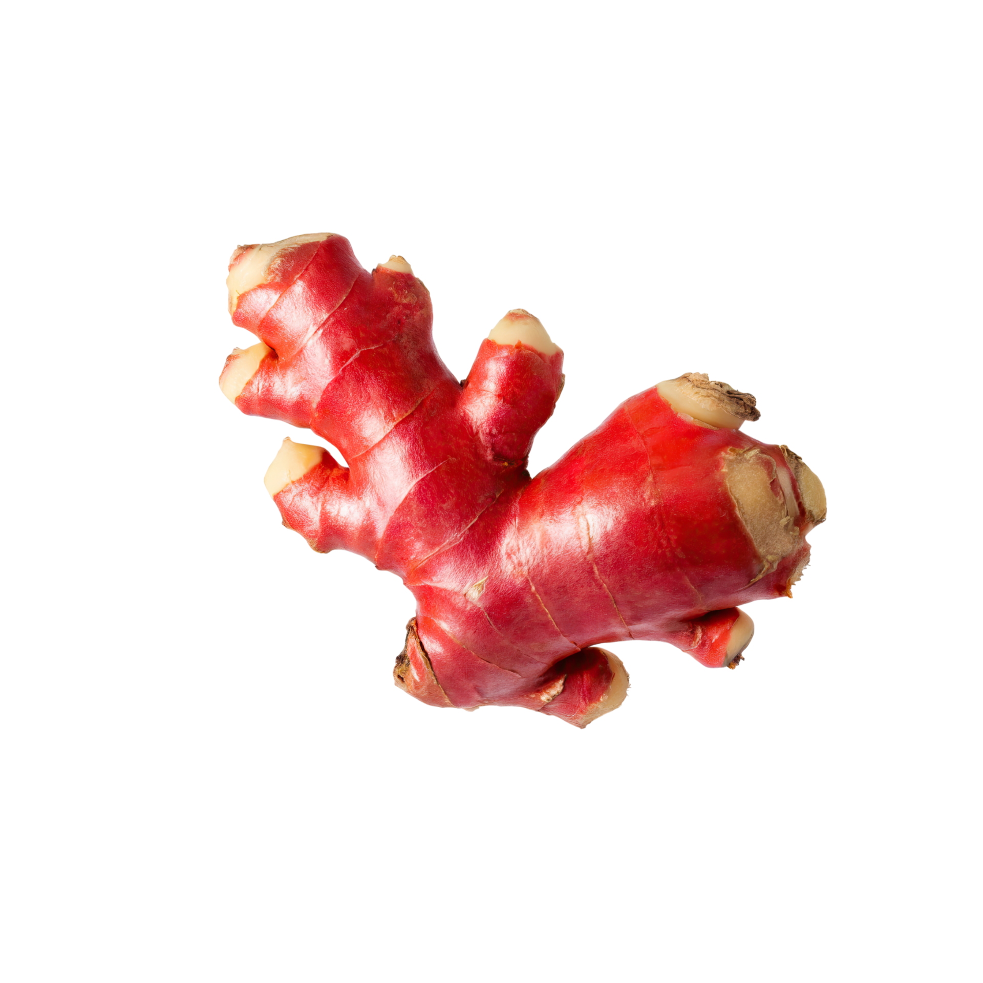 AI generated Bunch Red Ginger With Leaf Of Gringer, Isolated