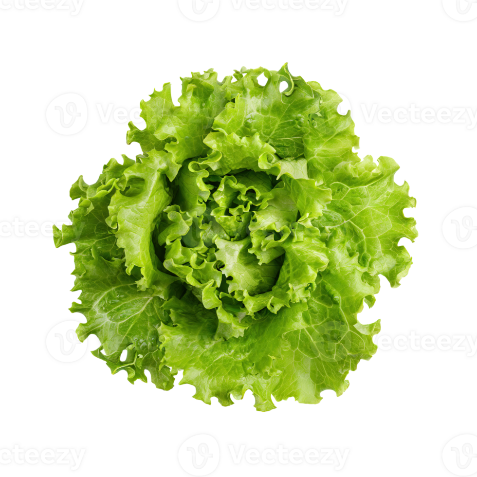 AI generated Floating Of One Fresh Green Lettuce, Without Shadow, Isolated Transparent Background png