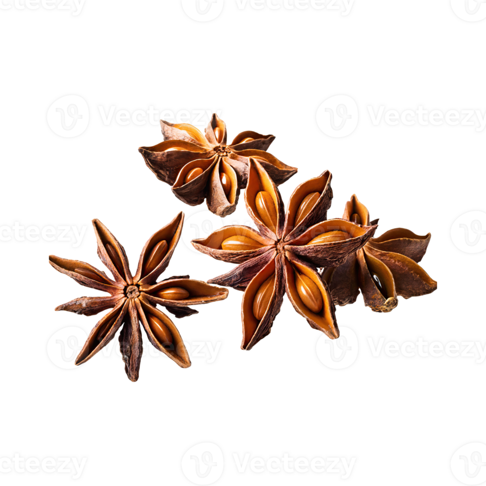 AI generated Star Anise, Without Shadow, Isolated Transparent Background png