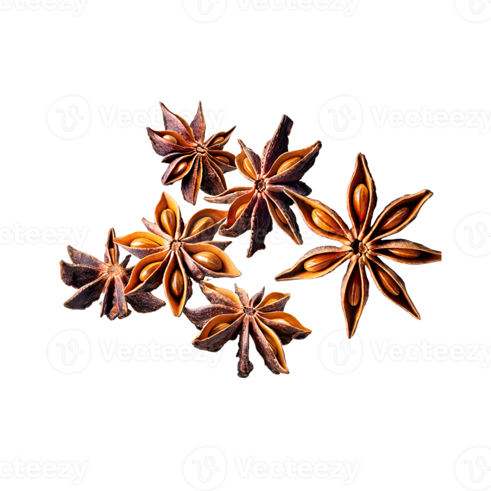 AI generated Star Anise, Without Shadow, Isolated Transparent Background png