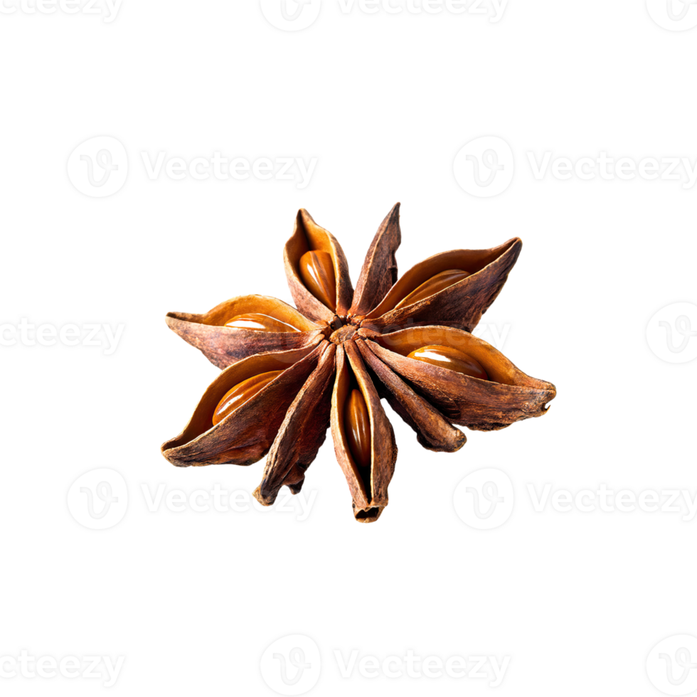 AI generated Star Anise, Without Shadow, Isolated Transparent Background png