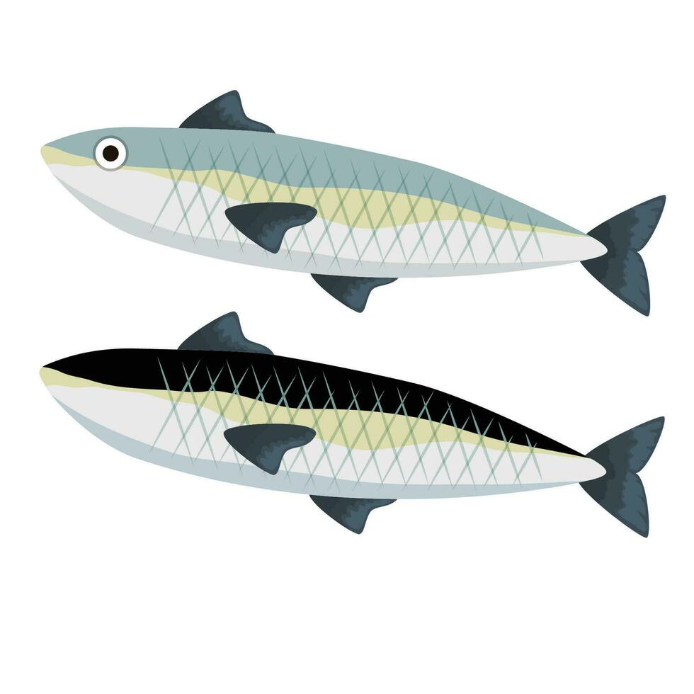 vector ilustración de 2 peces