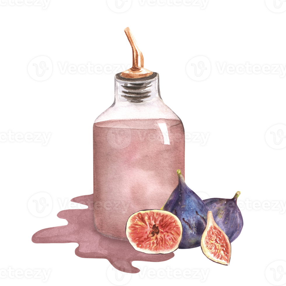 Hand-drawn watercolor illustration. Glass bottle with fig lemonade standing in a puddle of lemonade and also some fresh, ripe figs and slices next to the bottle png