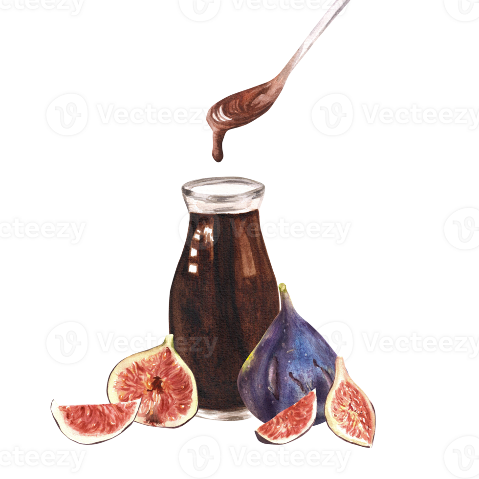 Hand-drawn watercolor illustration. Glass bottle with fig syrup, a spoon with dripping syrup and also some fresh, ripe figs and slices next to the bottle png